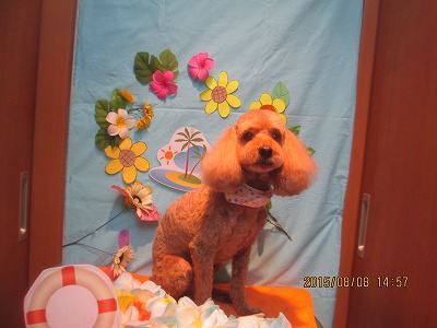 ファイル 8387-2.jpg