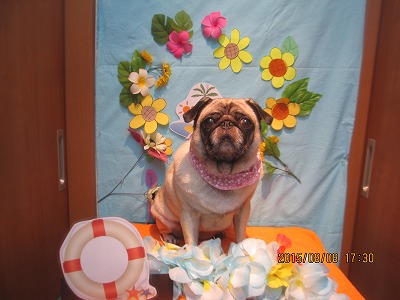 ファイル 8389-1.jpg