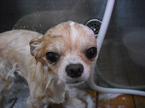 ファイル 839-2.jpg