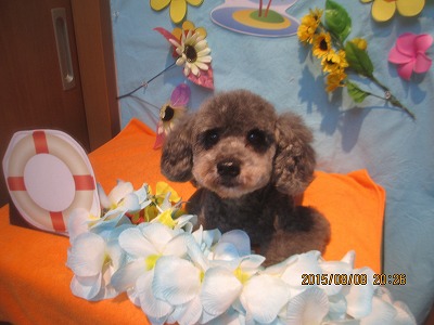 ファイル 8390-1.jpg