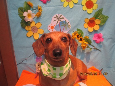 ファイル 8391-1.jpg