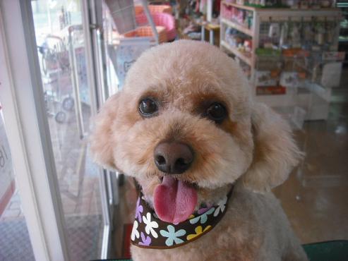 ファイル 84-1.jpg