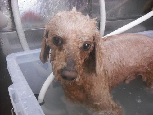 ファイル 84-2.jpg