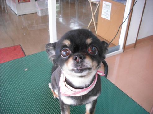 ファイル 840-1.jpg