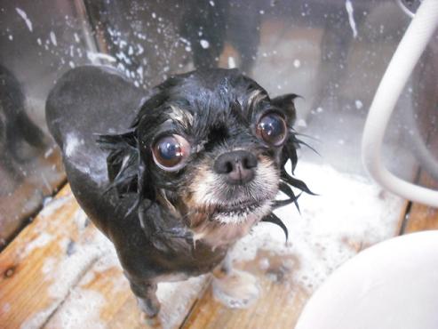 ファイル 840-3.jpg