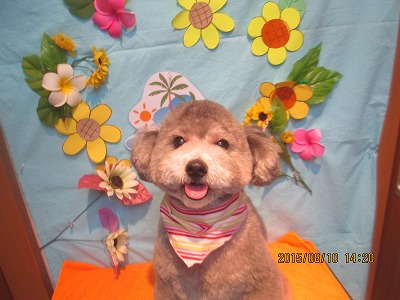 ファイル 8409-1.jpg