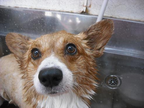 ファイル 841-2.jpg