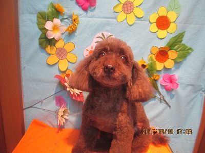 ファイル 8410-1.jpg