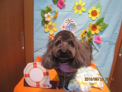 ファイル 8411-1.jpg