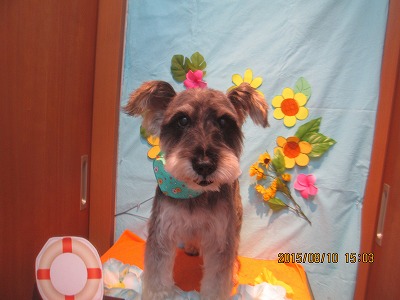 ファイル 8412-1.jpg