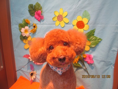 ファイル 8413-1.jpg