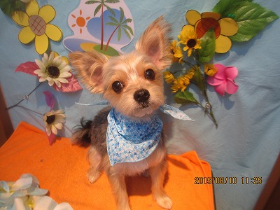 ファイル 8414-1.jpg