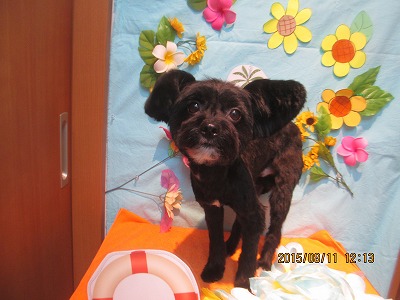 ファイル 8419-1.jpg