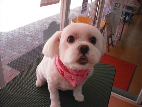 ファイル 842-1.jpg