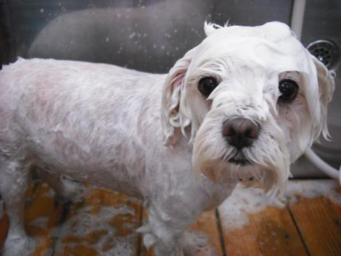 ファイル 842-3.jpg