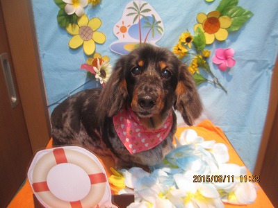 ファイル 8421-1.jpg