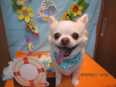 ファイル 8422-1.jpg