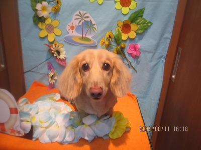 ファイル 8425-1.jpg