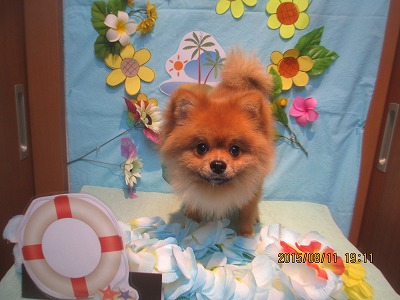 ファイル 8426-1.jpg