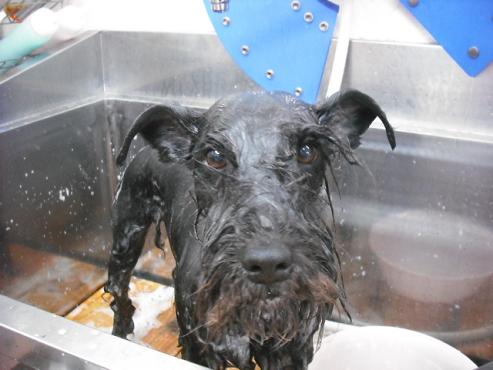 ファイル 843-2.jpg