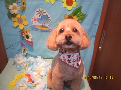 ファイル 8433-1.jpg