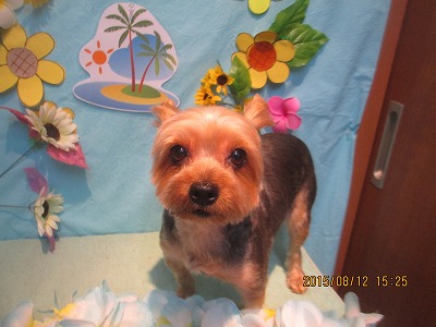 ファイル 8434-1.jpg