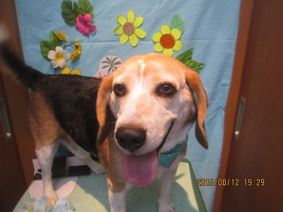 ファイル 8435-1.jpg