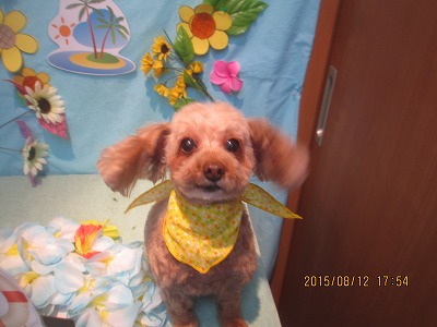 ファイル 8437-1.jpg