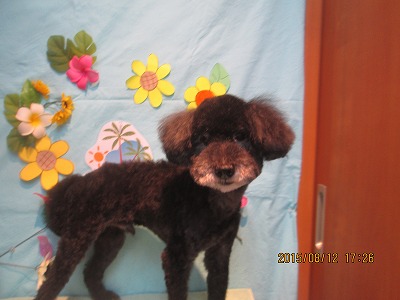 ファイル 8438-1.jpg