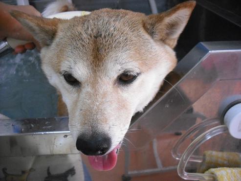 ファイル 844-2.jpg