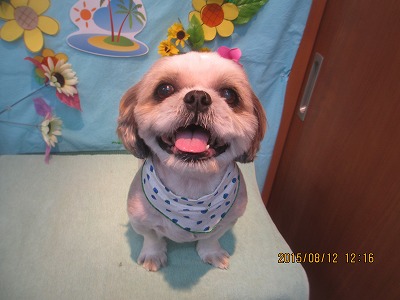 ファイル 8440-1.jpg