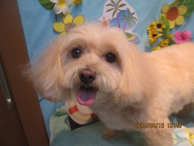 ファイル 8442-1.jpg