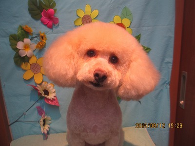 ファイル 8443-1.jpg