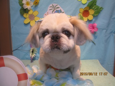 ファイル 8444-1.jpg