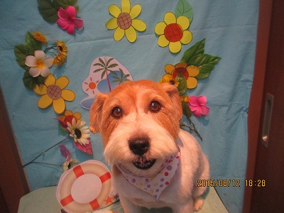 ファイル 8445-1.jpg