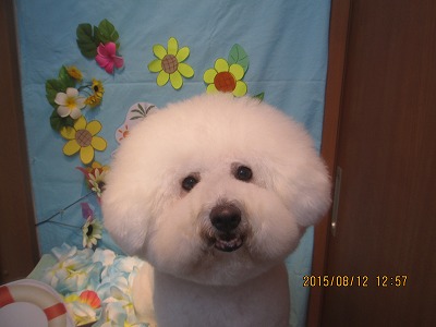 ファイル 8447-1.jpg