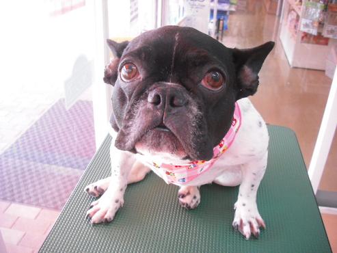 ファイル 845-1.jpg