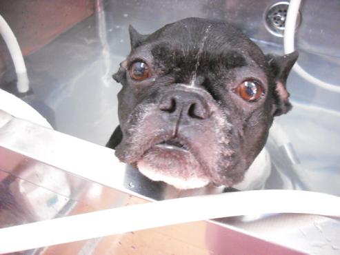 ファイル 845-3.jpg