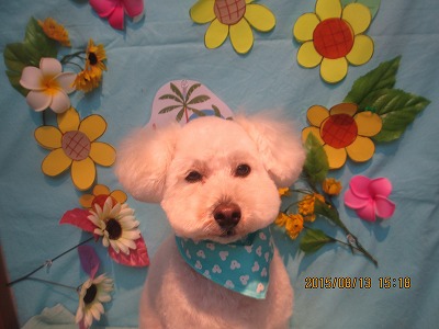 ファイル 8450-1.jpg