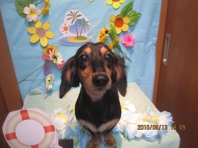 ファイル 8453-1.jpg