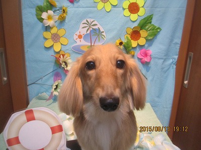 ファイル 8454-1.jpg