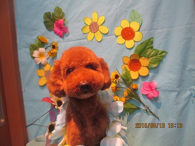 ファイル 8455-1.jpg