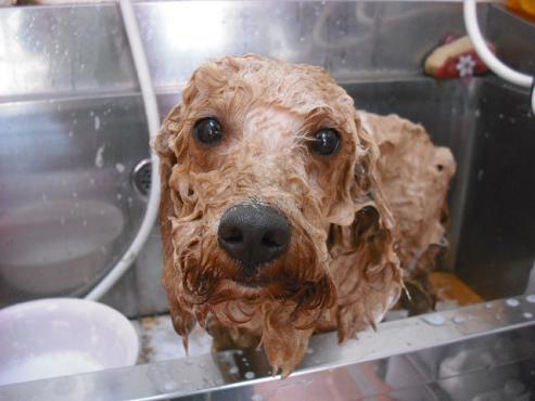 ファイル 846-3.jpg