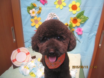 ファイル 8461-1.jpg