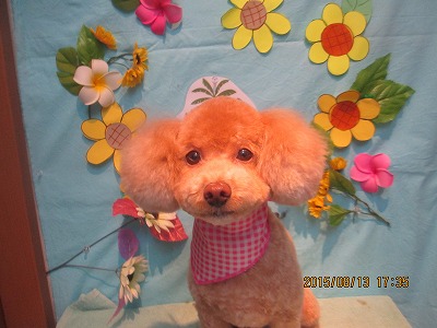 ファイル 8462-1.jpg