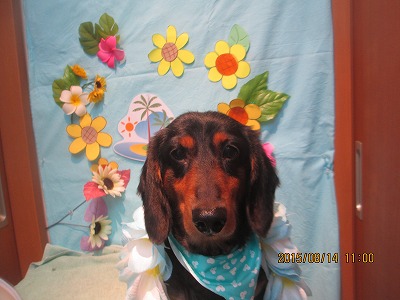 ファイル 8465-1.jpg