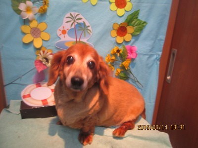 ファイル 8467-1.jpg