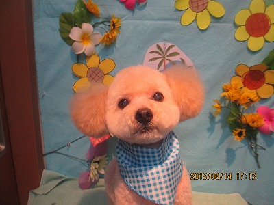 ファイル 8469-1.jpg