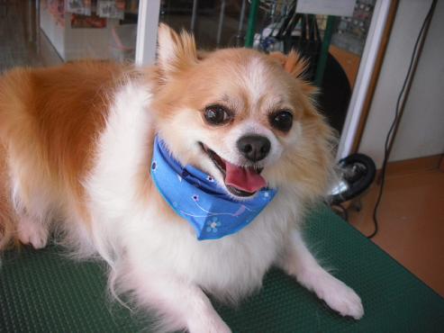 ファイル 847-1.jpg