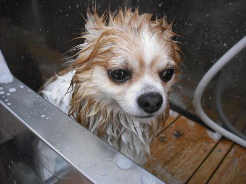 ファイル 847-3.jpg